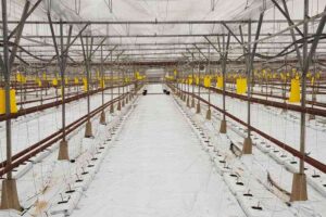 serres03