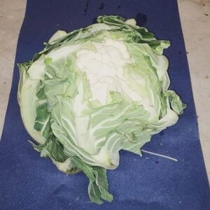 Chou-fleur