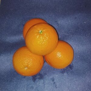 Orange à jus